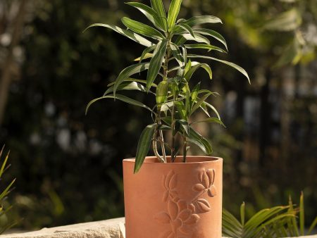 Teravak Embossed Planter (Tall) Fashion