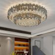 Luxury Large Black Color Crystal Living Room Ceiling Light Cheap