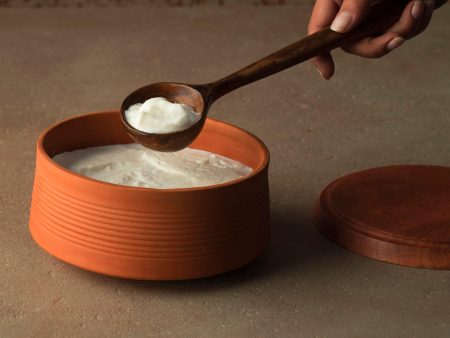 terracotta curd setter with wooden lid- natural Online Hot Sale