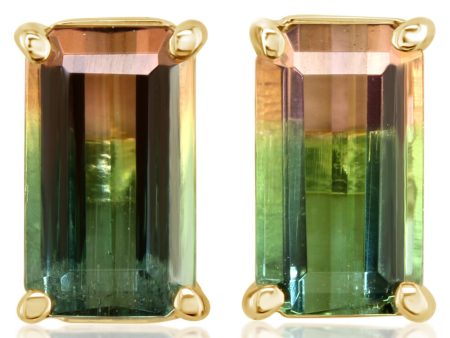 14K Yellow Gold Bi-Color Tourmaline Earrings For Sale