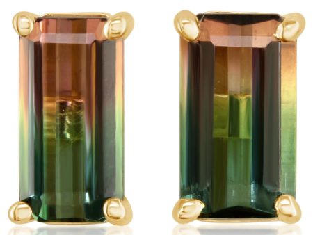 14K Yellow Gold Bi-Color Tourmaline Earrings Online Sale